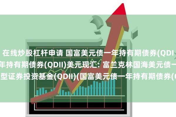 在线炒股杠杆申请 国富美元债一年持有期债券(QDII)人民币,国富美元债一年持有期债券(QDII)美元现汇: 富兰克林国海美元债一年持有期债券型证券投资基金(QDII)(国富美元债一年持有期债券(QDII)美元现汇类份额)基金产品资料概要更新
