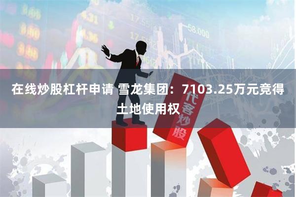在线炒股杠杆申请 雪龙集团：7103.25万元竞得土地使用权
