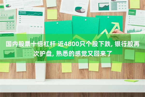 国内股票十倍杠杆 近4800只个股下跌, 银行股再次护盘, 熟悉的感觉又回来了