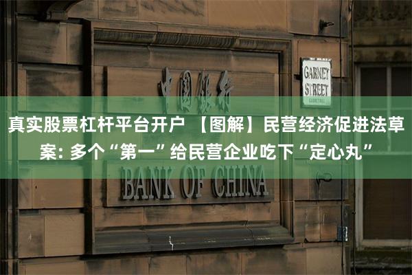真实股票杠杆平台开户 【图解】民营经济促进法草案: 多个“第一”给民营企业吃下“定心丸”